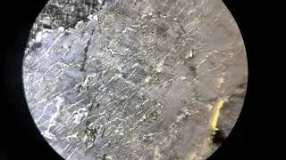 Petrology: Thin Section: Perthite in Monzonite