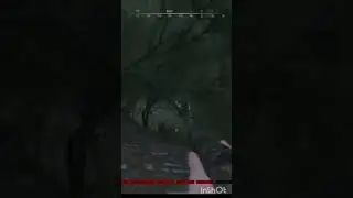 #HuntShowdown  Ассасин в ханте) #hunt  #shorts