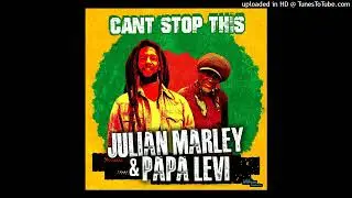 Julian Marley & Papa Levi - Can t Stop This [Love Injection Music] (Jan 2026)