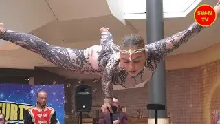 Schweinfurter Weihnachtscircus kehrt mit atemberaubender Show zurück!