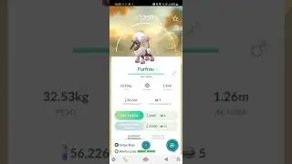 Furfrou Forma Corazon! | Pokemon GO evento San Valent&iacute;n ♡