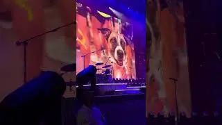 HARDY with Miranda Lambert unreleased song &ldquo;Dog Years&rdquo;