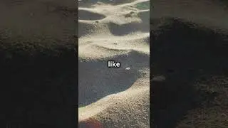 The Secret Behind Sand Dunes #send #dunes #nature #earth