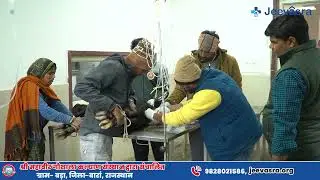 jeevasra animal hospital baran......#AnimalRescueIndia #StreetDogsOfIndia #IndiaCares