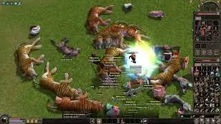 INTENTANDO SACAR EL ROBIN . METIN2.ES - SERVIDOR SAPPHIRE - EP.8