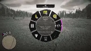 Red Dead Redemption 2_20260114200807