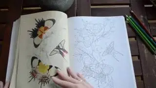 The Beauties of Nature Coloring Book - flip through