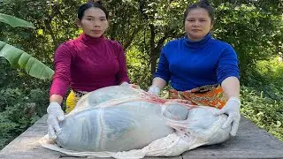 Cow Stomach Curry Recipe | Beef Tripe Cooking | MUKBANG ASMR