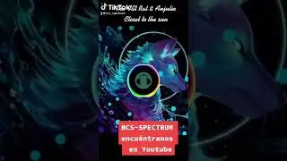 The Fat Rat &Anjulie Closet To The Sun #copyrigthfree #NCS #NCS-Spectrum #thefatrat #electronicmusic