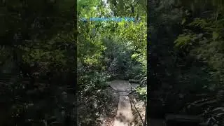 Walk to St Herman&rsquo;s Blue Hole Hyperlapse #belize #jungle #nature
