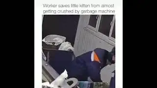 Worker saves little kitten from almost getting crushed by garbage machine
