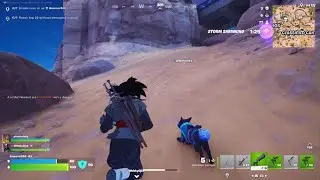 Fortnite_381