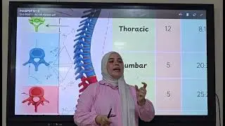 Axial skeleton part 2 vertebral column 3rd secondary( الهيكل المحوري (العمود الفقري 