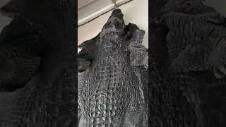 Exploring croc leather shops in Phuket