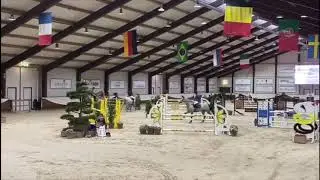 2014 Mare Warrant x Purioso