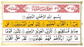 Surah Yasin (Yaseen) | Beautiful Recitation By Alaa Aqel | Full With Arabic Text | سورۃ یس | Ep24