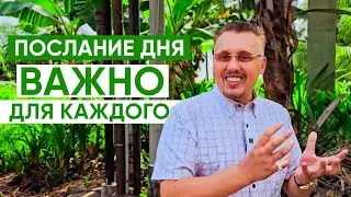 Каждый день новое чудо ждет вас | Благословение | Апостол Владимир Мунтян
