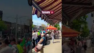 Portuguese festival🇵🇹 🇨🇦 #portugal #love #canada #toronto #viral #trending #india #shorts #fun