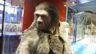 Museo ELDER