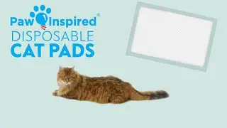 Disposable Cat Pads for Cat Litter Boxes | Paw Inspired&reg;