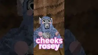 How Much Does My Gorilla Tag Outfit COST&hellip;
