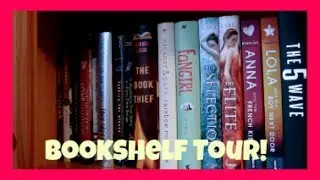 Bookshelf Tour | January 2014 - TheBookDiary