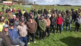 SAJAB AUktioner video från auktionen i Västra Torp 10 maj 2017