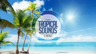Big Sounds Tropical Sounds & Vocals [Sample Pack/Acapella Vocals/Midi Files/Construction Kits]