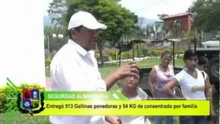 Programa Avicola Gallinas Ponedoras Florida Valle