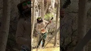 Slackline banjo +. #banjo #slackline #harmonica