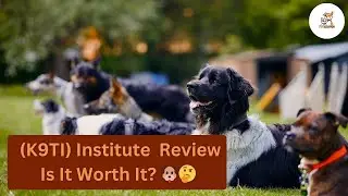 🐶📢 K9 Training Institute (K9TI) Review &ndash; Does It Really Work? | #doglife #dogs