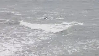 Plane crashes off Point Loma coast, 6 people missing | 5 p.m. update