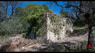 Visita del terreno | Salisano (RI)  | Uliveto con rudere di antico casale vicino al borgo