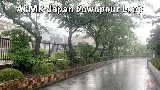 ASMR Looped Japan Downpour Rain 2021.06.23 Ambient Sound Sleep Meditate Relax Tokyo Suburb Zen
