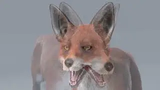 The Fox (VFX Grooming and Modelling Project)