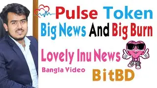 Pulse Meds Token Big News 80% Token Already Burn Complete | Lovely Inu coin News | BitBD