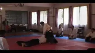 I seminario de aikido ista chile 2009
