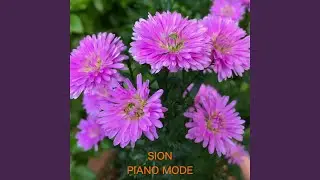 mezzo staccato