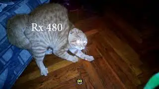 Accurate representation of my GPU when I try to run Cyberpunk 2077