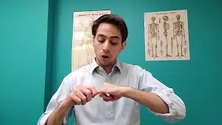 Why Do My Joints Keep Cracking? | Pittsburgh and Fox Chapel Chiropractor Tauberg Explains