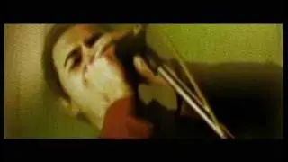The Narrow - The Banded
