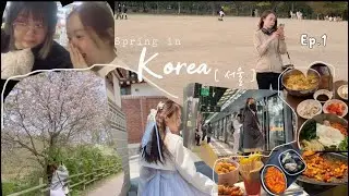 Mùa xuân ở Hàn Quốc🌸| Spring in Korea | Air Premia | Lotte world | Hồ Seokchon| 7 day in Korea 🇰🇷