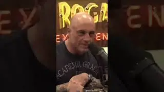 Praying Mantis Can Snatch Humming Birds?! #joerogan #insects #birds #nature #shorts
