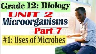 Grade 12 Biology Unit 2 - [Part 7 (#1): Uses of Microorganisms @yeshanehtube