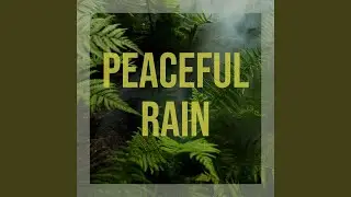 Positive Vibes