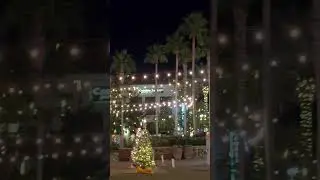 #christmasdecorations  #itsbeginningtolookalotlikechristmas  Grand ￼Blvd~#sandestin #florida 🎄