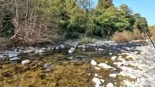 Pesca a mosca secca in caccia: la tecnica che funziona anche senza presenza di schiuse