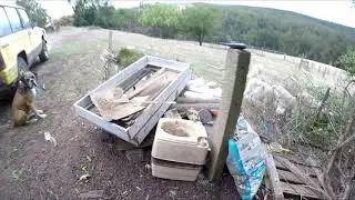 DAY 270 - Getting Our Chicken Breeder Pens Ready