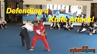 Knife Defense Seminar - Hwa Rang Do&reg; Grandmaster Taejoon Lee