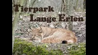 Tierpark lange Erlen in Basel